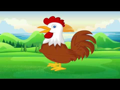 Video Bé học màu sắc Tiếng Việt qua hình ảnh con gà trống |... - YouTube