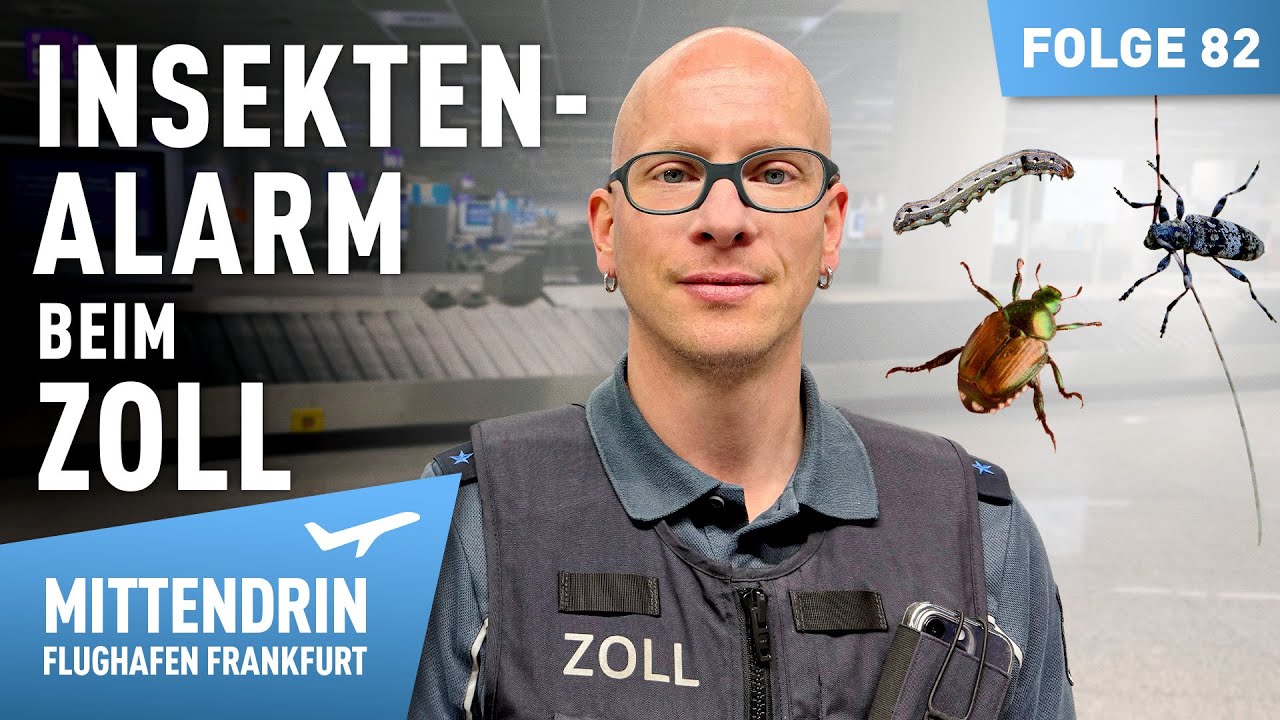 Das große Krabbeln - Insektenalarm beim Zoll | Mittendrin - Flughafen Frankfurt 82