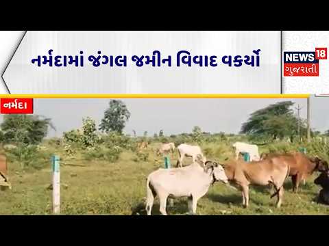 Narmada MP News | નર્મદામાં જંગલ જમીન વિવાદ વકર્યો | Mansukh Vasava | News18 Gujarati