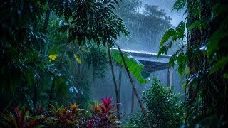 Nature Rain Sounds for Sleeping Fast & Anxiety Relief