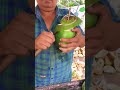 Cutting Green Coconut #shorts #viral