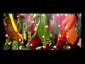 Mauka- Aarakshan
