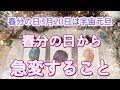 【再配信】✨🪐✨【3月20日🪐宇宙元旦】春分の日から流れが急変すること~ちょっと厳しめあり✨🪐✨タロット・占い・スピリチュアルカードリーディング