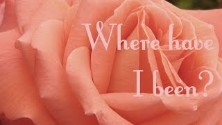 Where have I been?