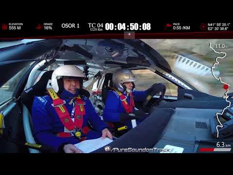 RALLY ACTION On Board full throttle rally pure sound #4