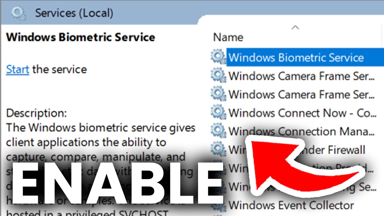 How To Enable Biometric Service In Windows 11 - Tutorial