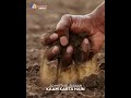 Kamdhenu Steel Salutes the Hands that Feed India | Happy Kisan Diwas