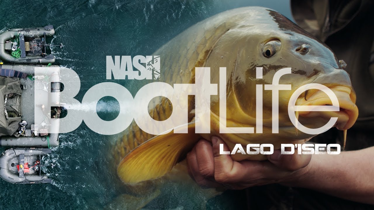 BOAT LIFE: LAGO D'ISEO - carpfishing dalla piattaforma