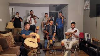 Video thumbnail of "Te Amare toda la vida / #MariachiAsiEsMexico"