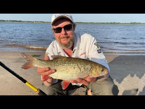 Ловля на фидер видео - все о технике и тактике рыбалки