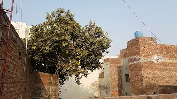 OnePlus 3T Video Camera Test 4K 2160p