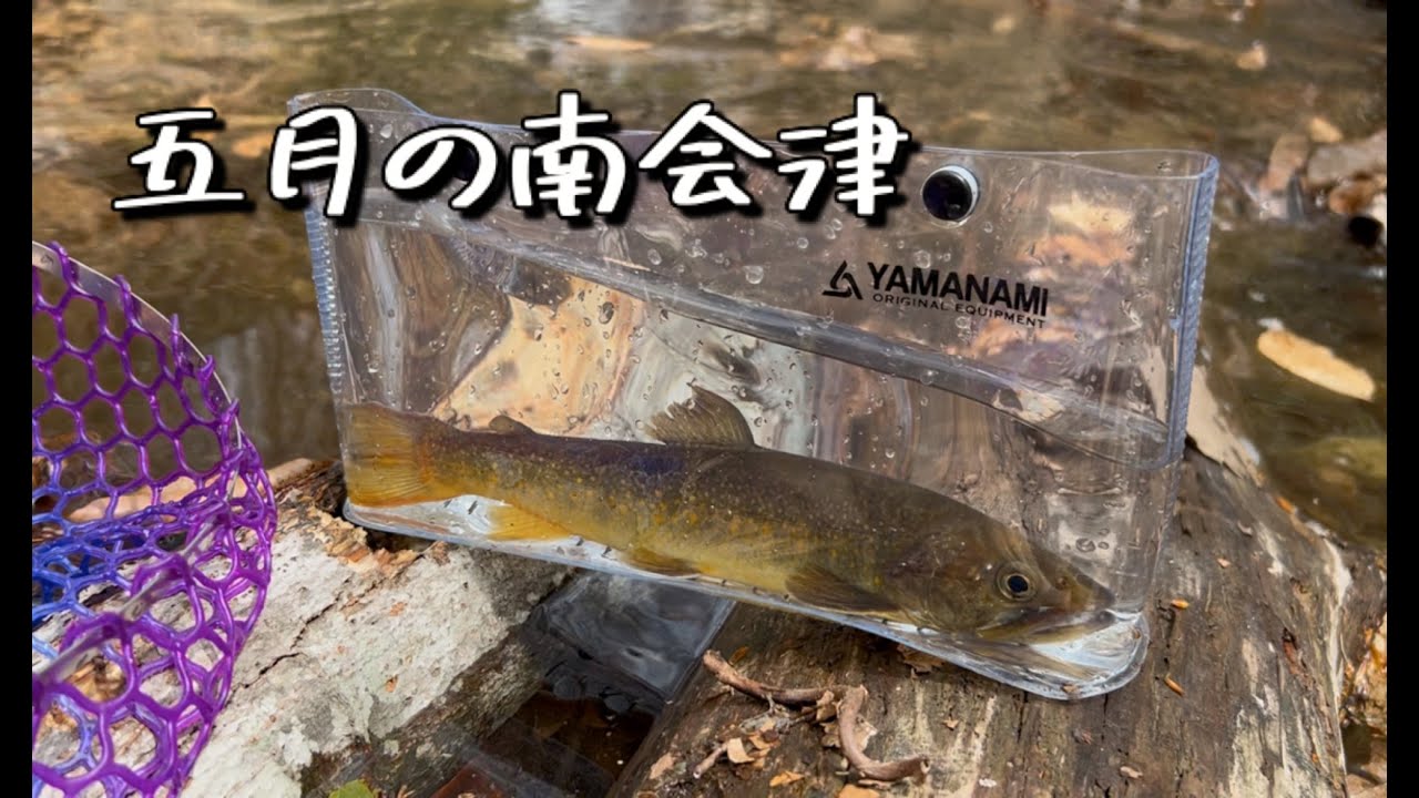 【南会津 渓流ルアー】GW終盤のチョロ沢釣り