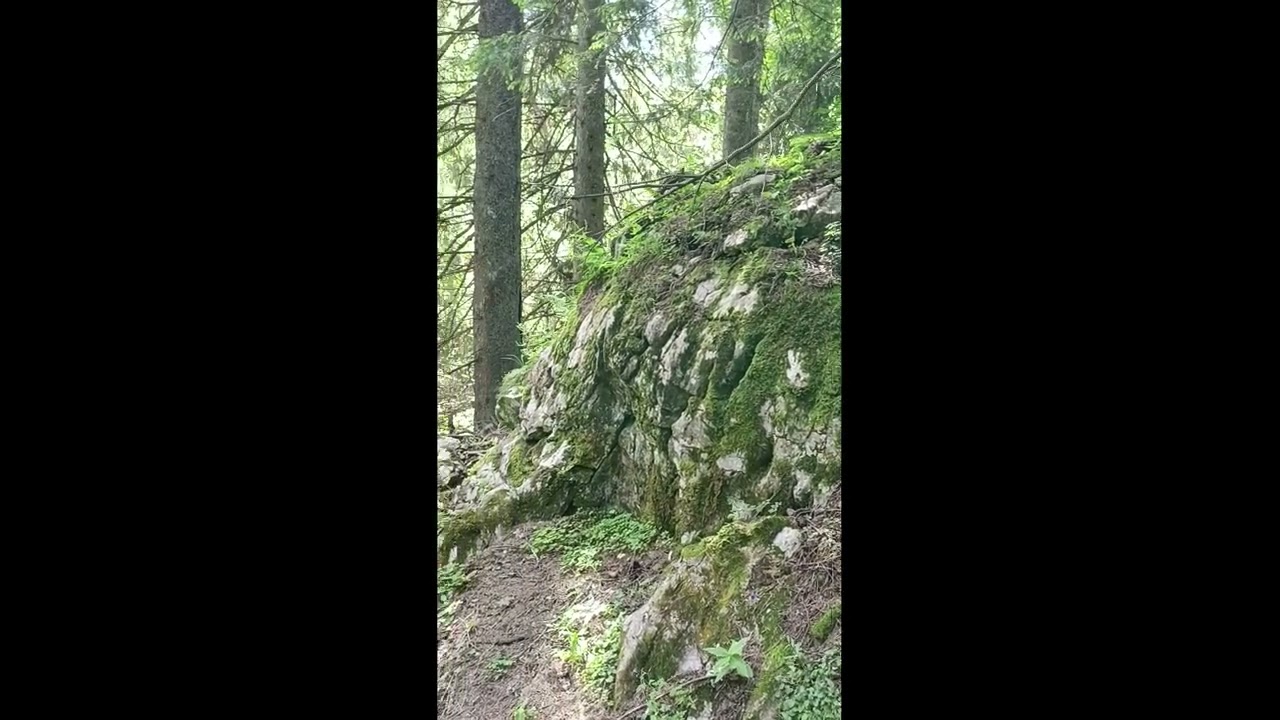 🌲✨ Rohikyng Episode 7 | Hidden Trails & Mountain Magic 🏞️🥾🎶