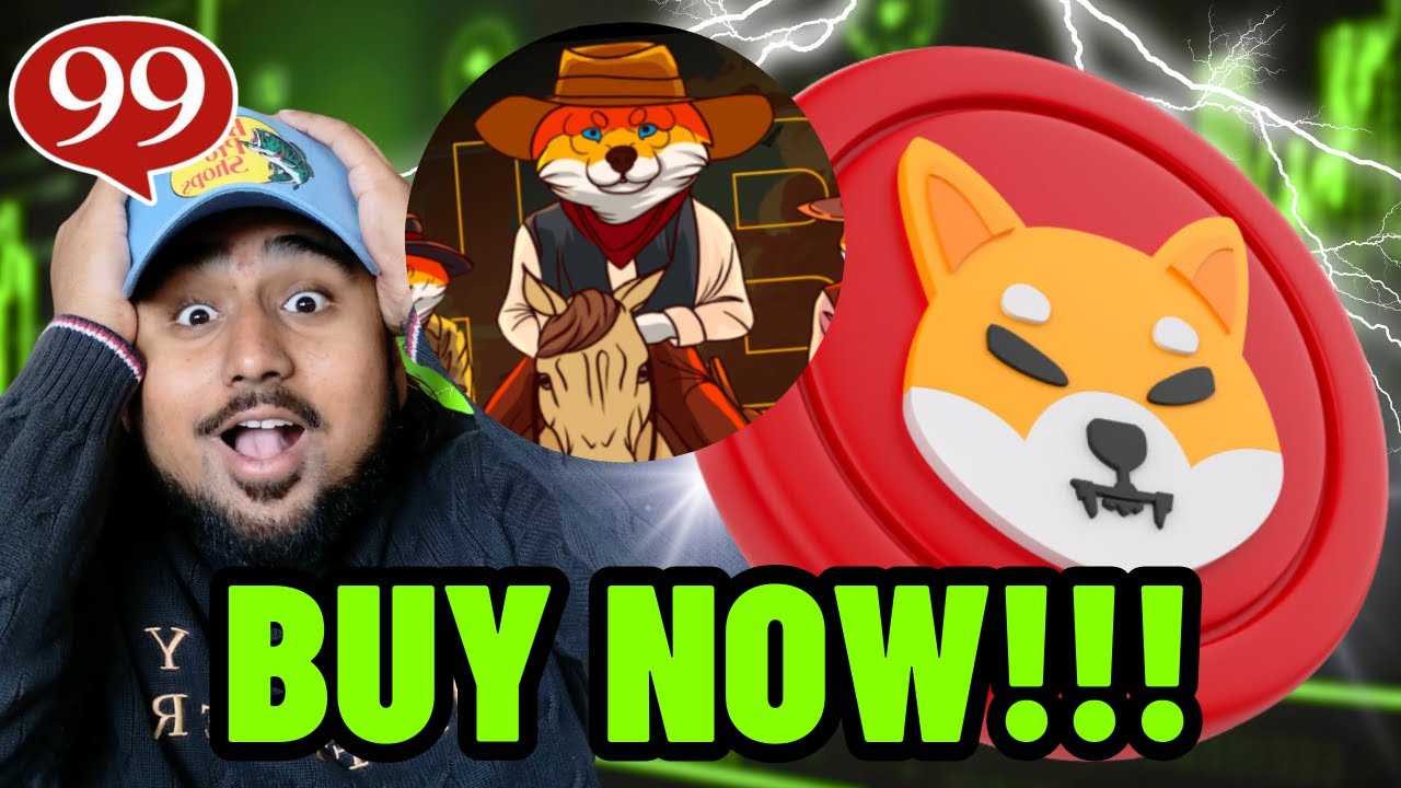 SHIBA INU HOLDERS NEED TO KNOW ABOUT THIS... Next 100X Meme Coin is HERE?!