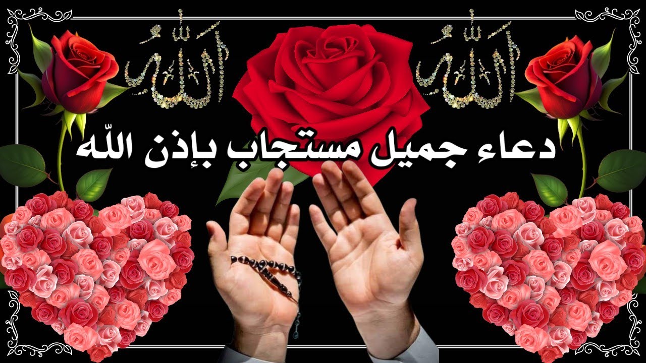 ♥️دعــــاء جميل♥️متعكم الله بالصحة والعافية وبث في نفوسكم الطمأنينه  وملأ قلوبكم بالراحة ♥️