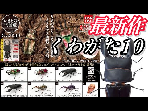 bugbug@様 リクエスト 3点 まとめ商品 bugbug@様 リクエスト 3点 まとめ商品 ZX様 リクエスト 3点