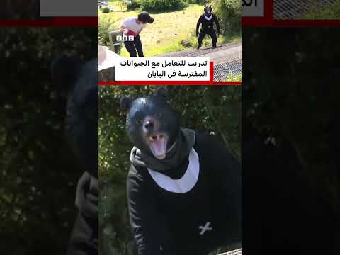 تدريب على التعامل مع الحيوانات المفترسة في اليابان