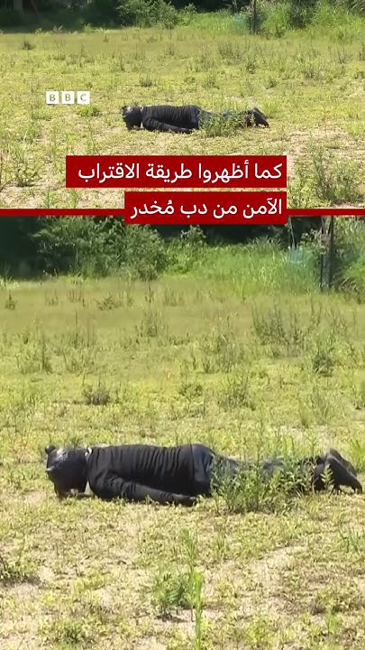       
 - نشر قبل 6 دقيقة
