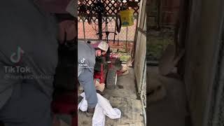 Aww. Pray For This Skunk