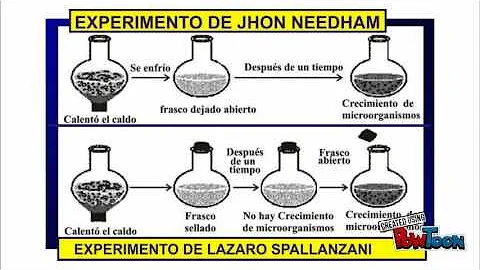 trabajo de ciencias