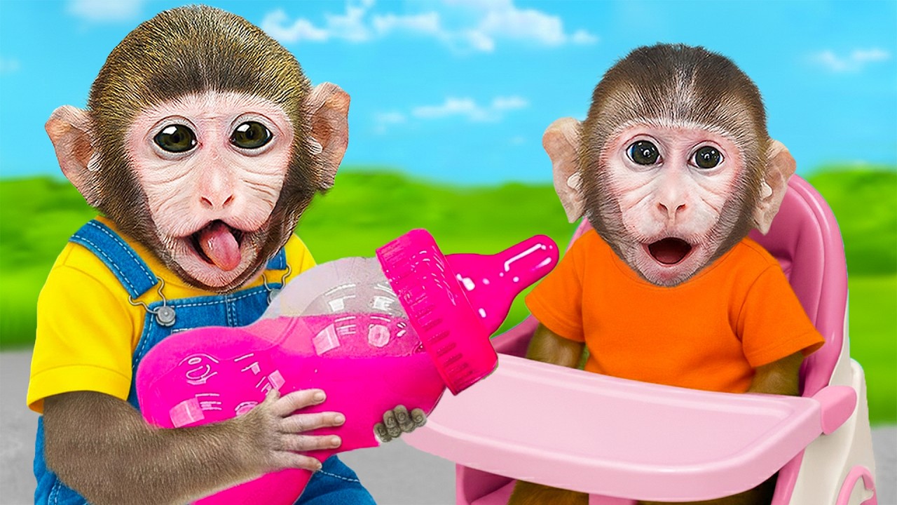 Monkey MoMo Eats Fruits and Cares for the Baby Monkey