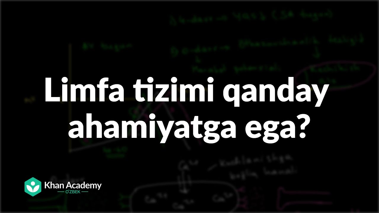 Limfa tizimi qanday ahamiyatga ega? |  Limfa tizimi haqida umumiy tushuncha | Tibbiyot