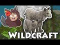 First Dreams of Our Ancient Lynx Kit 🐺 WildCraft: The Pack Reborn • #18