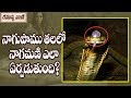 Secrets of real nagamani  rahasyavaani unknown telugu facts
