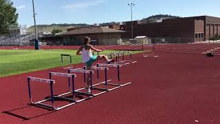 Hurdle: Backward step-over, straight leg - 2 touches