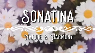 Sonatina No. 2 Allegro  Daisy, Insects & Wind Sounds Classics in Harmony with Nature