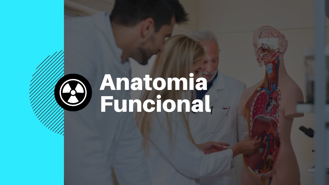 Anatomia Funcional do Aparelho Locomotor [Radiologia na Palma da Mão]