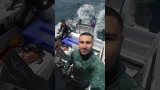 Kingfish Cup 2025 Highlights | Manolias Brothers | Adreno