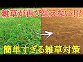 夏の雑草対策|何もしなくても暫く雑草が生えなくなる方法を紹介します。