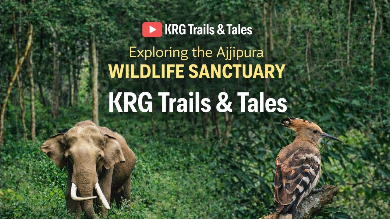 🐘 Malai Mahadeshwara Wildlife Safari 🌿 | Ajjipura Forest Adventure | KRG Trails & Tales