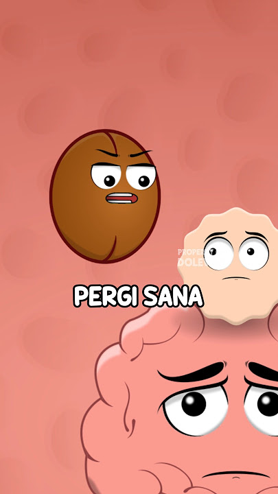 Ngopi Menghilangkan Kantuk??? #animasidolewak #animasiorgantubuh
