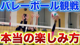 【初心者・保護者必見】バレーボールの試合観戦が100倍楽しくなるポイント3選　#バレーボール #バレー #試合観戦