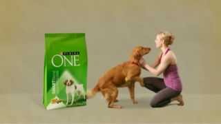 Purina ONE Smart Blend