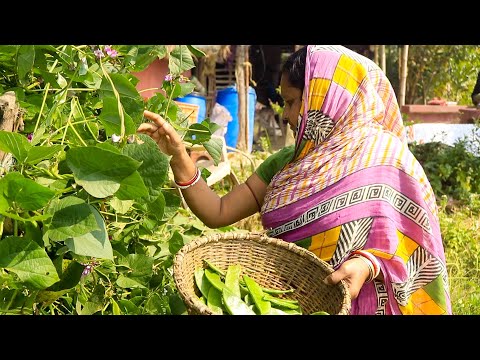 broad-beans-(sim)-new-recipe---tasty-village-recipe