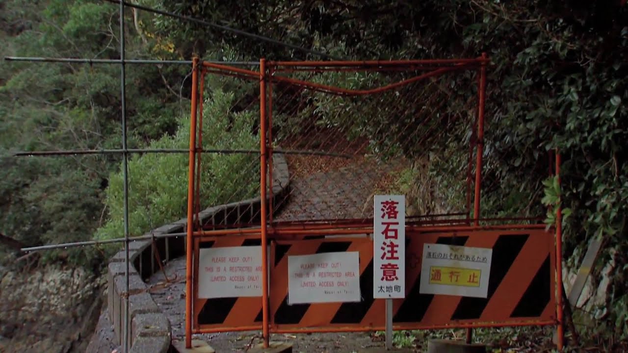 The Cove Dolphins Worst Nightmare