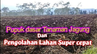 Proses Olah Lahan Super Cepat Untuk Tanaman Jagung
