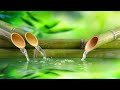 24 Hour Tranquil Tunes - Relaxing Music, Stress Relief music, Sleep music, Meditation Anytime, water