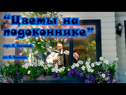 Цветы на подоконнике 🎶 песня на стихи С. Есенина