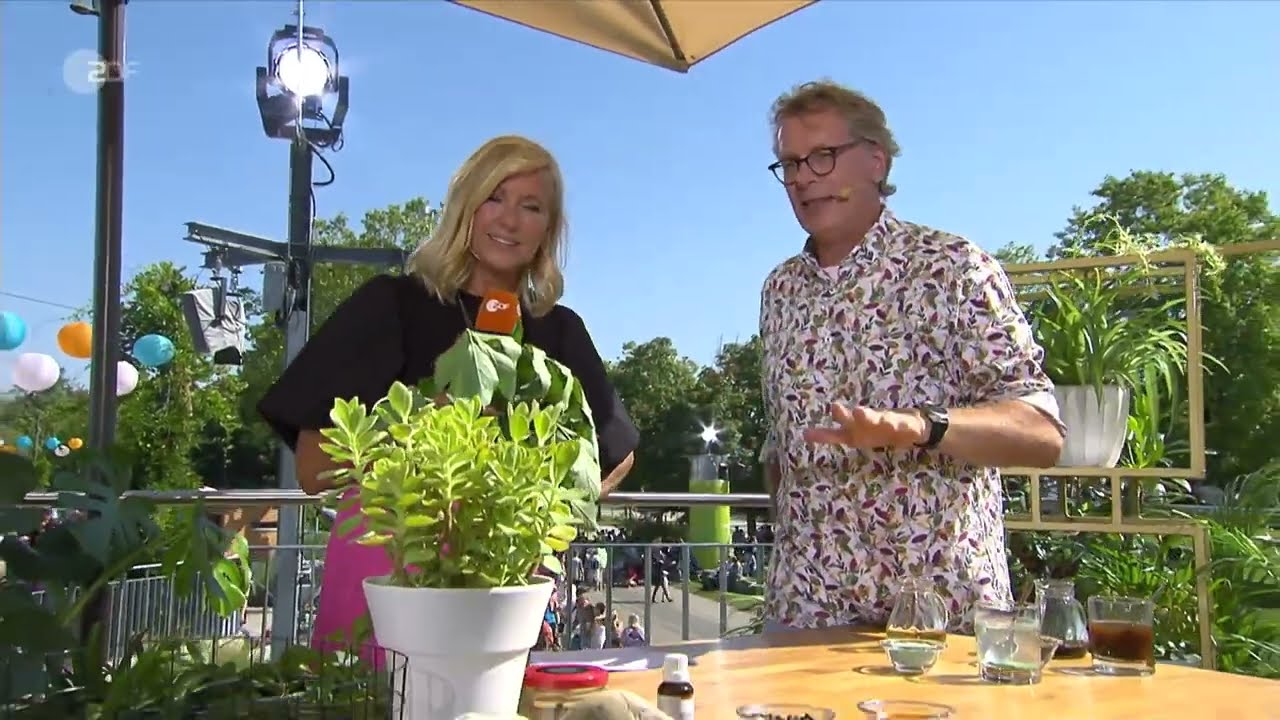 greening saatgut GREEN MUNDO Saatgut
