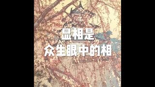 201605 显相是众生眼中的相21049