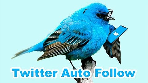 How to mass Follow Twitter Accounts [Twitter automation]
