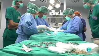 Esterilització I Castració - Xavier Roura, Doctor En Veterinària De Lhcv - Secció 10