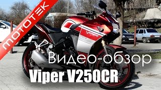 Мотоцикл VIPER V250CR | Видео Обзор | Обзор от Mototek
