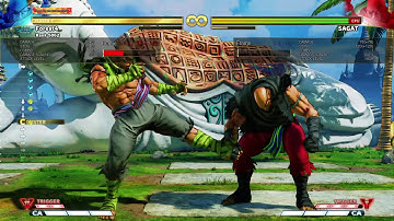 Day 1 Sagat Blockstring s MP c MP s LK Range Issues SFVAE