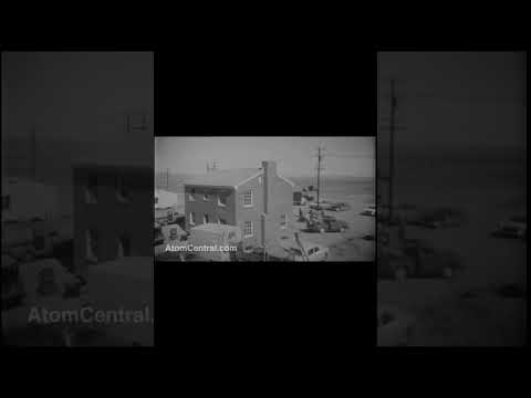 We all need this friend #owl