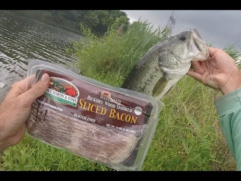 Drop Shotted Bacon Catches Bass Crappie And HUGE BLUEGILL 